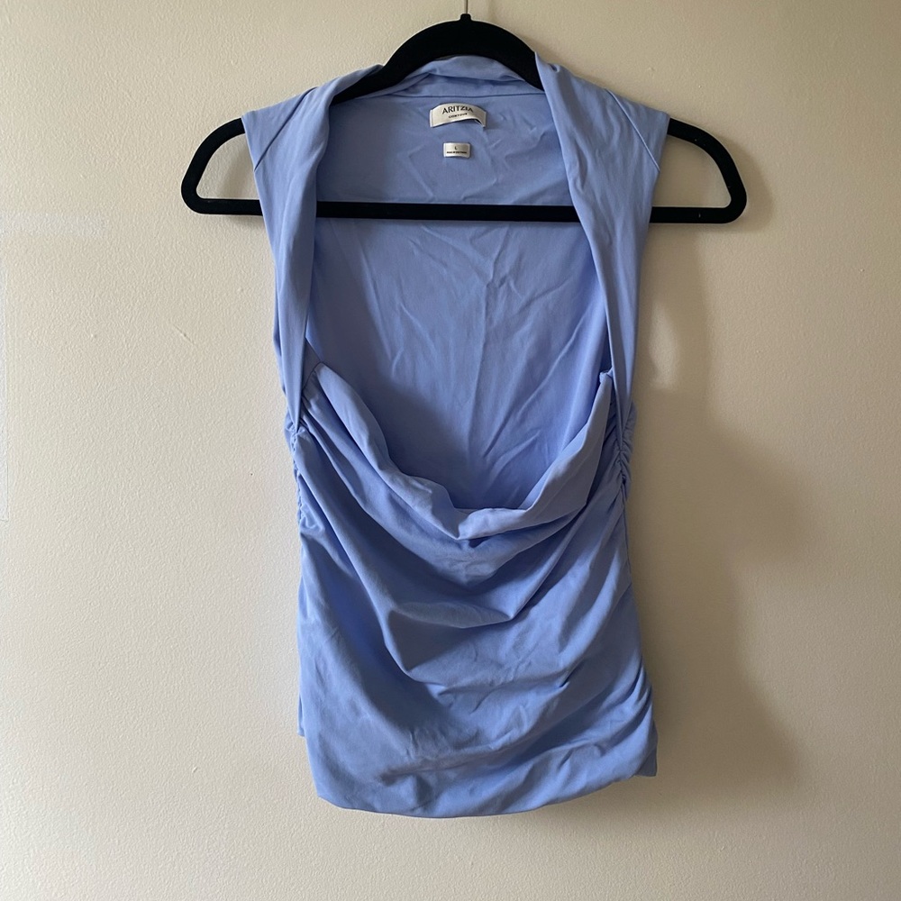 Aritzia day flower blue “flourish” Top